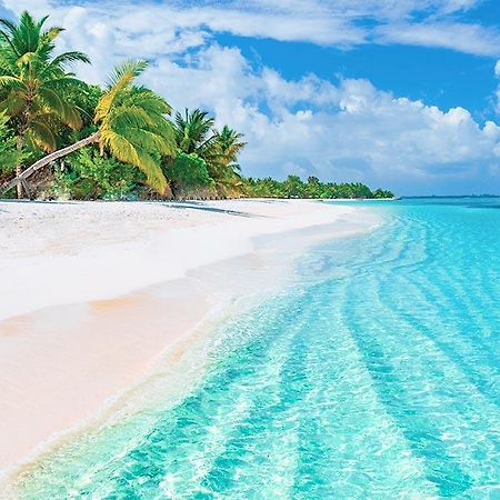 Senator Riviera Cancun Spa Resort プエルト・モレロス エクステリア 写真