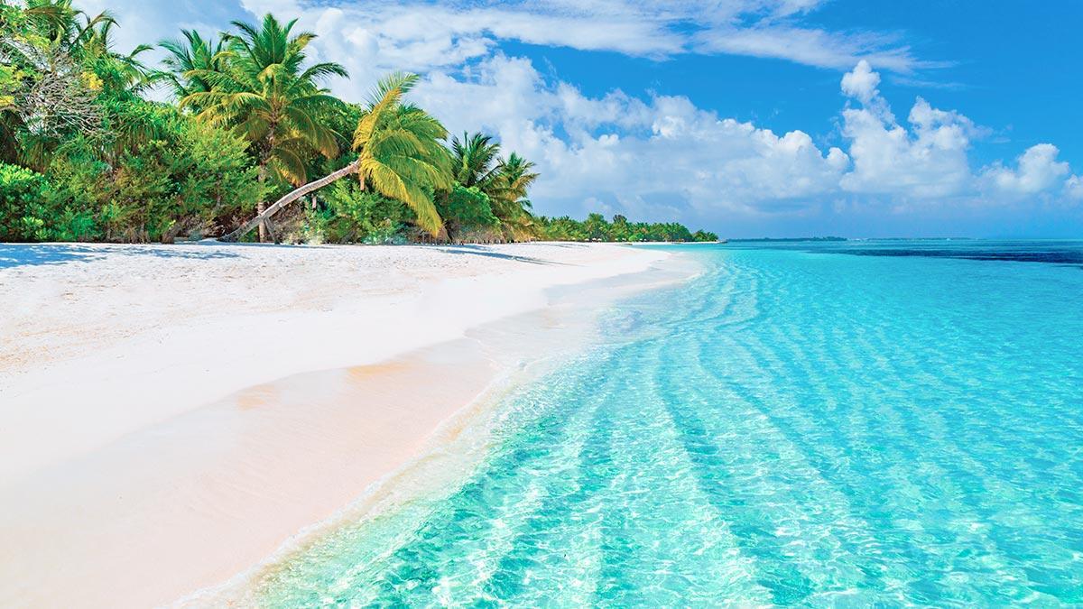 Senator Riviera Cancun Spa Resort プエルト・モレロス エクステリア 写真